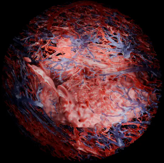 Joint Second Prize at the CRUK Image Competition 2026