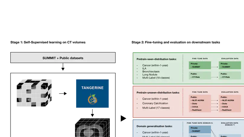 A computationally frugal, open-source chest CT foundation model for thoracic disease detection in lung cancer screening programmes